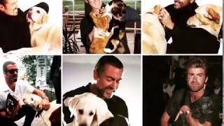 Help us raise £10K for The George Michael Kennel