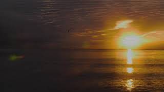 Aronne Delloro - Canto Alla Carpinese