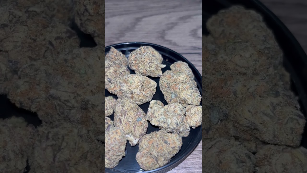 Green Karat PF 22/1 Permanent Fruz 