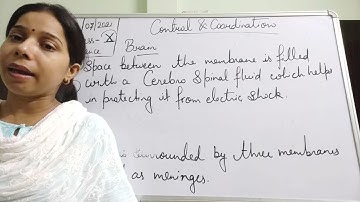 Class X Science 16 07 2021 by Ms Mridulata upadhyay Control and coordination