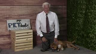 Pet Connection Bugsy 7-24-23