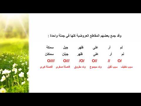 الأسباب والأوتاد والفواصل والتفعيلات