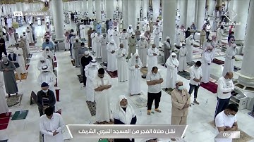 ما تيسر من سورة يس | فجر ١٠ شعبان ١٤٤٢ هـ | الشيخ #خالد_المهنا من #المسجد_النبوي