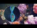 Understanding Amyloidosis - 3D Animation & Overview