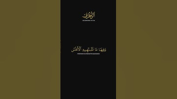 ياسر الدوسري - سورة الزخرف | الآيات ٦٨-٧٣