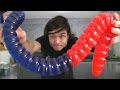 The Giant 3lb Gummy Worm DESTROYED