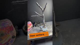 Weld Project 🦌#project #art #foryou #mindset #cool #interesting #welding #gmaw #success #highschool
