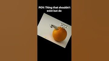 The Weirdest Things That Actually Exist #funny #fun #foryou #tobyfox #undertale #best #weird