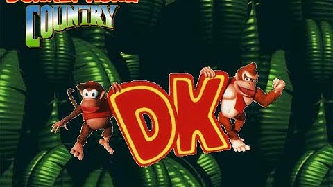 Donkey Kong Country  : Pro Action Replay Codes (DKC Player Archive)