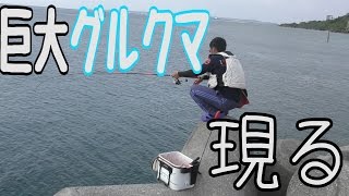 テトラポットから巨大グルクマを狙う Youtube