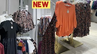 New Autumn Collection Apricot Ukwomen Dresses