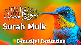 Surah Al Mulk (Mulk) سورة الملك most beautiful tilawat | surah yasin best tilawat