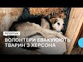 Харківські зооволонтери допомагають рятувати тварин з Херсона