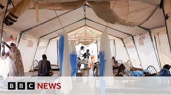 Thumbnail for UN to investigate reported mass killings in Sudan | BBC News
