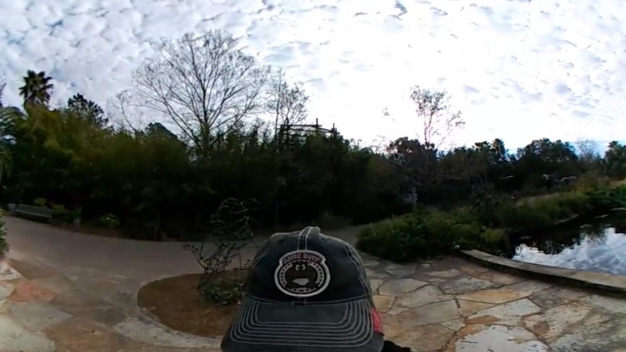 Jacksonville Zoo and Gardens Giraffe enclosure YouTube