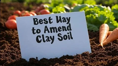 THIS Is The BEST Way To Amend Clay Soil – According To The Amish