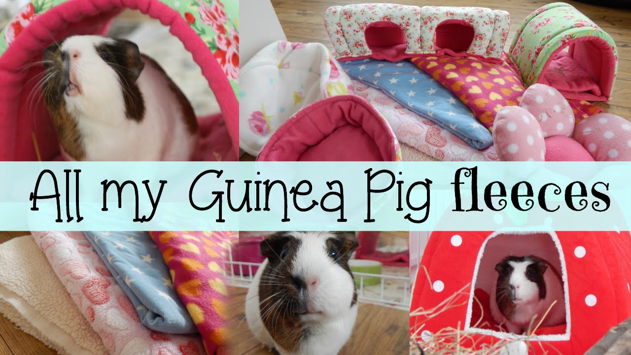 guinea pig fleece accessories