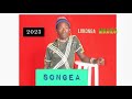 LUKONGA MAGIDA BHUPE BHOZIKU AUDIO LUKONGA MAGIDA BHUPE BHOZIKU AUDIO