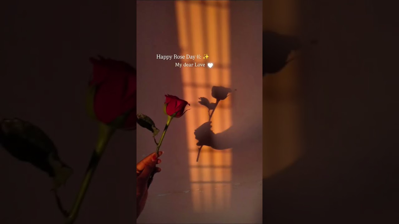 *Rose Day Status*🌹 
