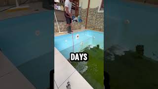 Download Lagu THIS AMOEBA EATS YOUR BRAIN !! #shorts MP3