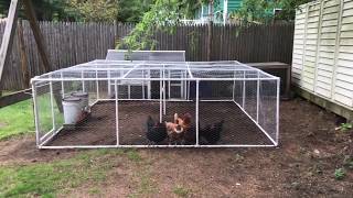 This video will show you how I made a 10 X 10 PVC chicken run for your hens. It is easy to do. Total cost for this project at the time of 