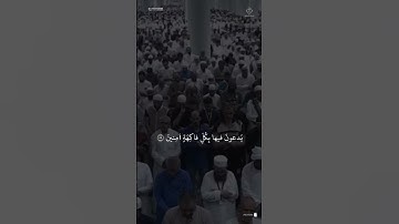مقتطف من تلاوة الشيخ #خالد_المهنا من عشاء 11 شوال 1446هـ