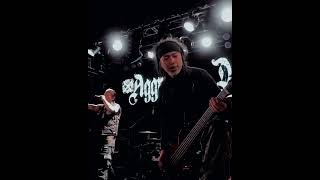 Aggressive Dogs Aka Uzione Tour 2024 Save The Voice Presents  The Comebackstory 3 3