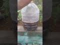 kya aap ke bhi paudhe ki growth nahi ho rahi hai#vlogs #gardening #shorts