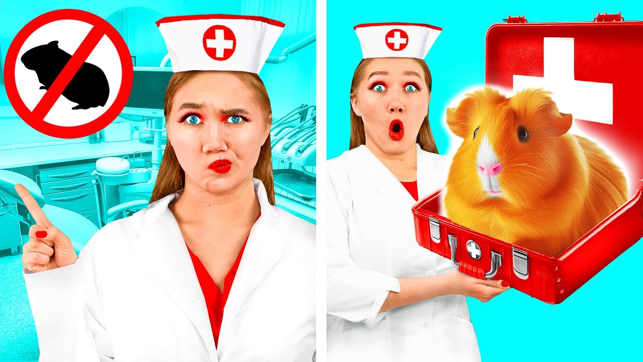 Haustiere Vor Dem Zahnarzt Verstecken | Lustige Momente