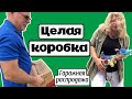 Урвали….  заняли денег у Игоря!