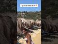 Tigania Beach 🇬🇷🔥