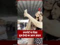 ऑल ब्राउन आउटफिट में छाईं पूजा हेगड़े।#poojahegde #jsshorts #viral #trending