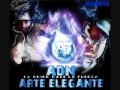 Arte Elegante Ft ADN - Traicionera.wmv