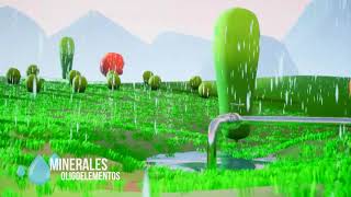 Agua Pureza