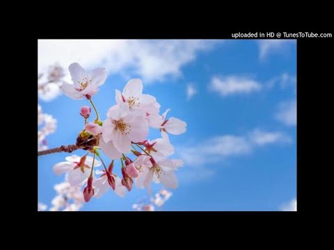 スタート！　ボーカル抽出　＝LOVE（イコールラブ）　イコラブ