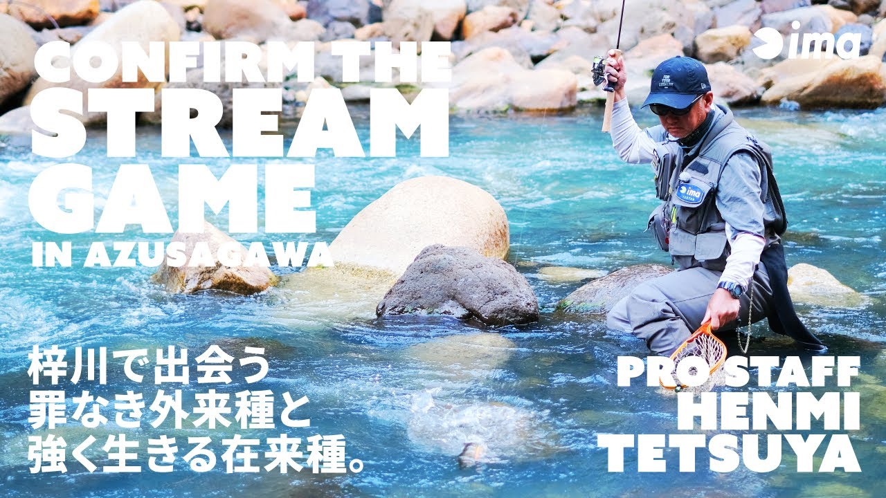 CONFIRM THE STREAM GAME IN AZUSAGAWA | 梓川で出会う罪なき外来種と強く生きる在来種。