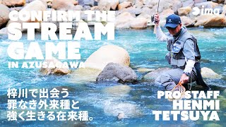 CONFIRM THE STREAM GAME IN AZUSAGAWA | 梓川で出会う罪なき外来種と強く生きる在来種。