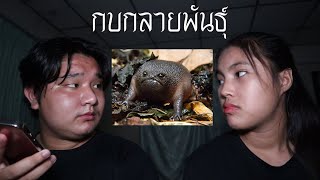 พวกเราซื้อ กบกลายพันธุ์ มาจาก Dark Web! | หลอนดาร์กเว็บ EP.15