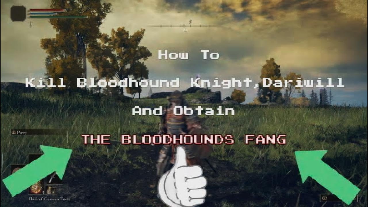 How To Get The Bloodhounds Fang! - YouTube