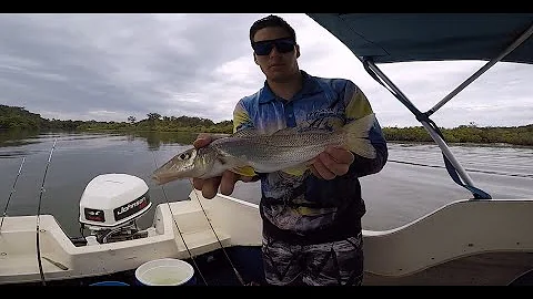 40CM HUGE WHITING in the SHALLOWS! - good whiting ...