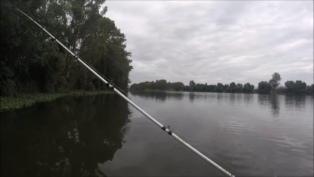 𝐅𝐢𝐬𝐡𝐞𝐫𝐛𝐨𝐬𝐬  @𝐚𝐥𝐞𝐱𝐜𝐢𝐟𝐨𝟓 𝐑í𝐨 𝐩𝐨𝐬𝐭𝐟𝐫𝐞𝐳𝐚