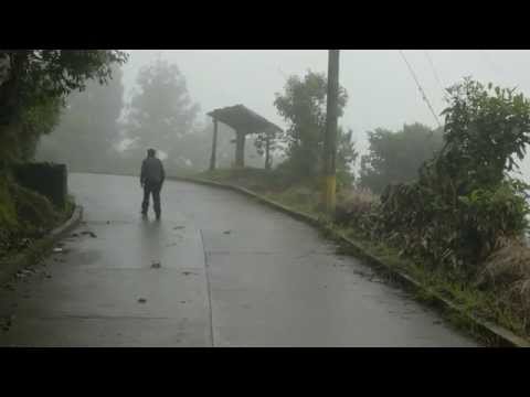 Viveros, Hatuey - Café (Cantos de humo) [2014]