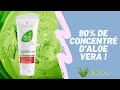 90 daloe vera dans concentrate