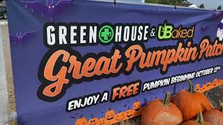 The Greenhouse Great Pumpkin Patch 2022!