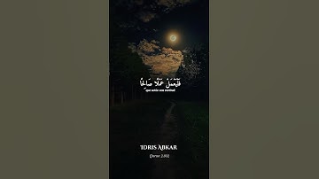 تلاوة مباركة بصوت جميل #القران_الكريم #اكسبلور #القران #quran #القاريء_ادريس_ابكر