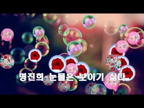 명진희 ~ 눈물은 보이기 싫다
