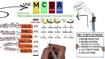 A Short Story about Multiple Criteria Decision Analysis (MCDA)