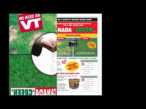Video: Lawn Grass Canada Green: Grass Composition And Seed Review, How To Plant, Care Features And Customer Reviews
