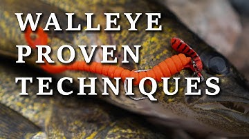 How To Catch Walleye Fast And Easy!
