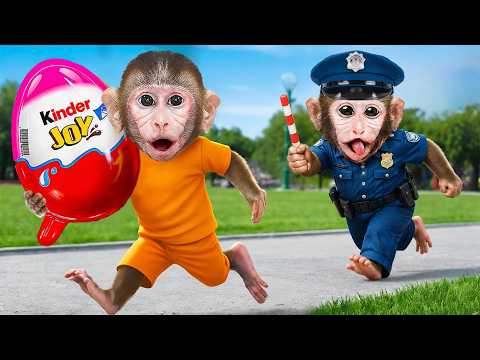 Monkey Momo Pretend Play Police Caught The Egg Thief | MoMo Monkey Life